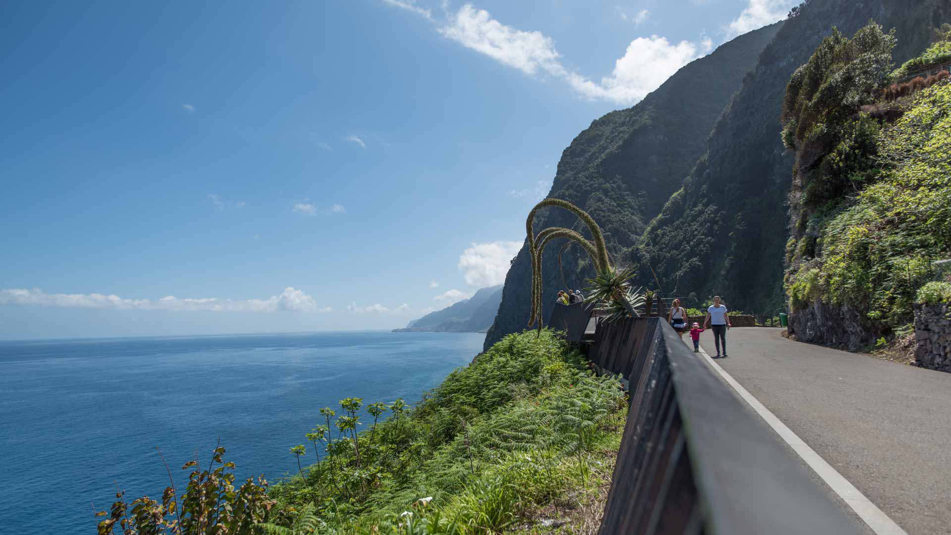 Carretera sinuosa entre montaña y mar en Madeira.