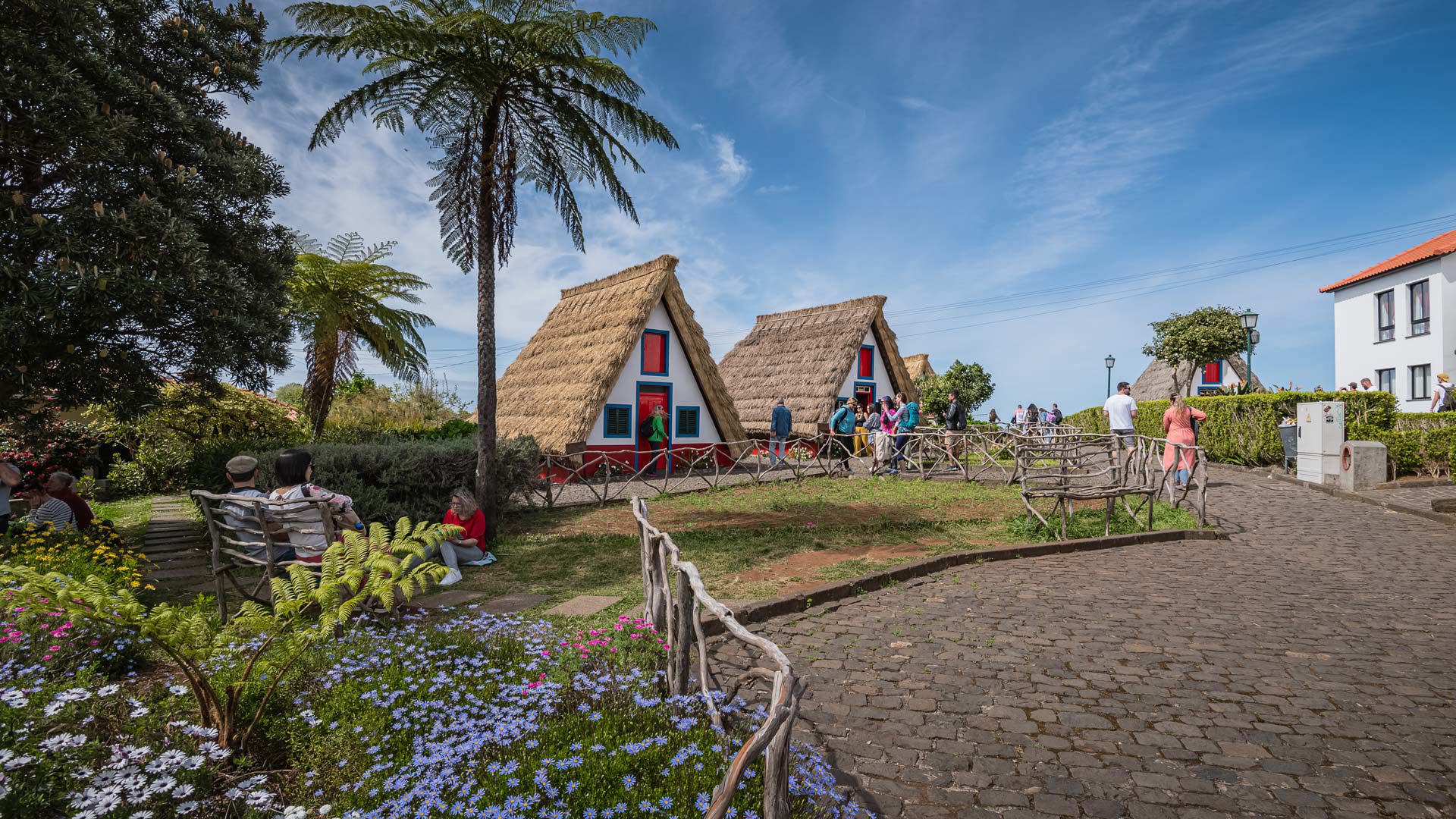 Triangular houses with palm tree, garden and people in Madeira.