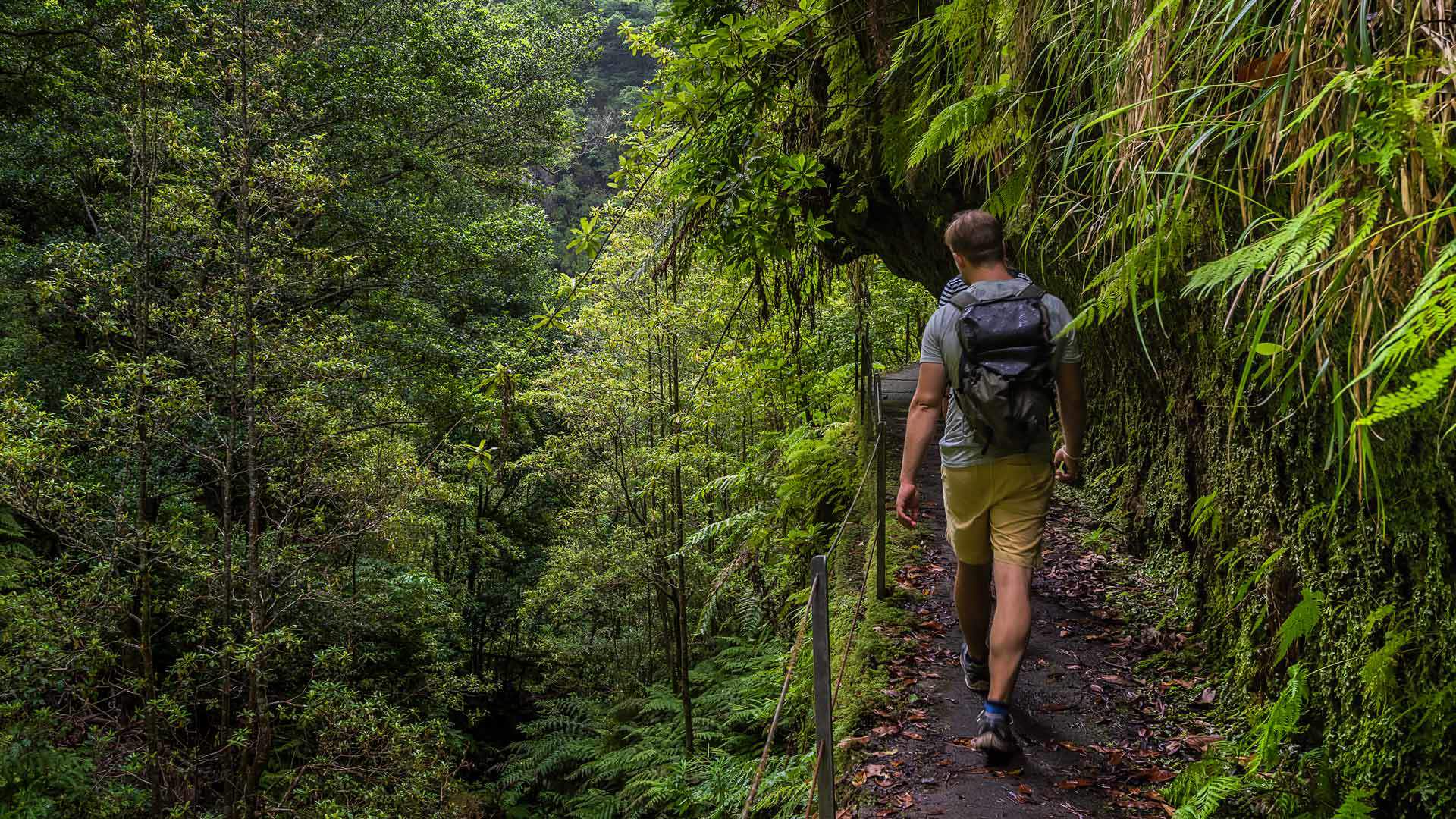 levada da fajã do rodrigues 4