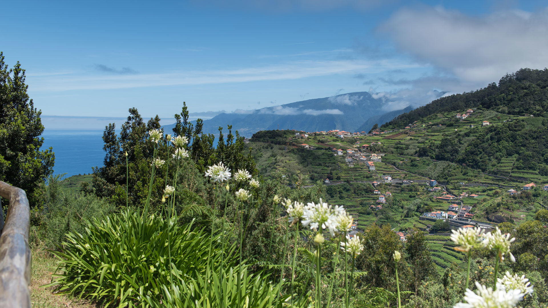 Viewpoint with colorful flowers, mountain, and forest in the background.