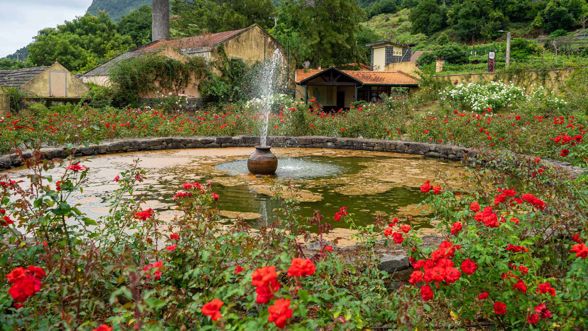 Quinta do Arco em São Jorge 7