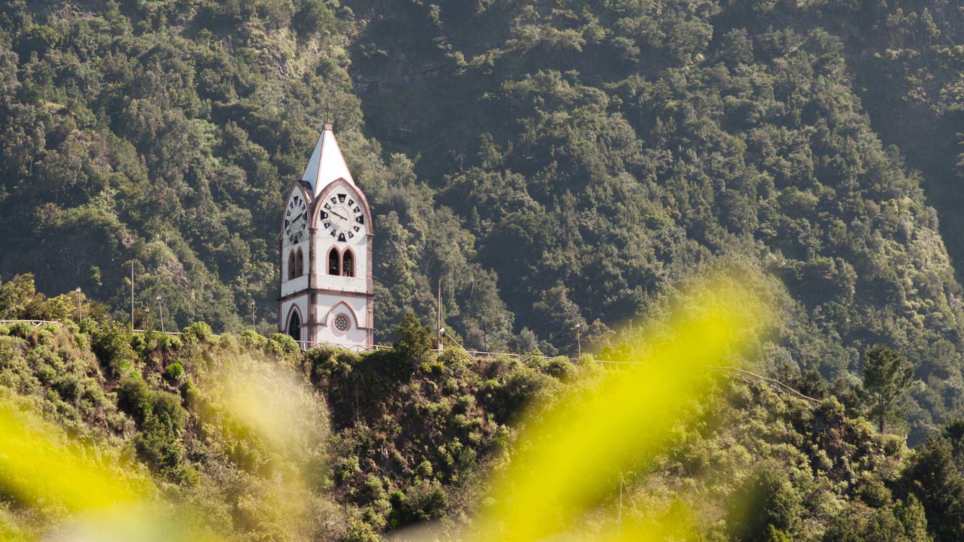 Church nestled in the middle of a lush forest.