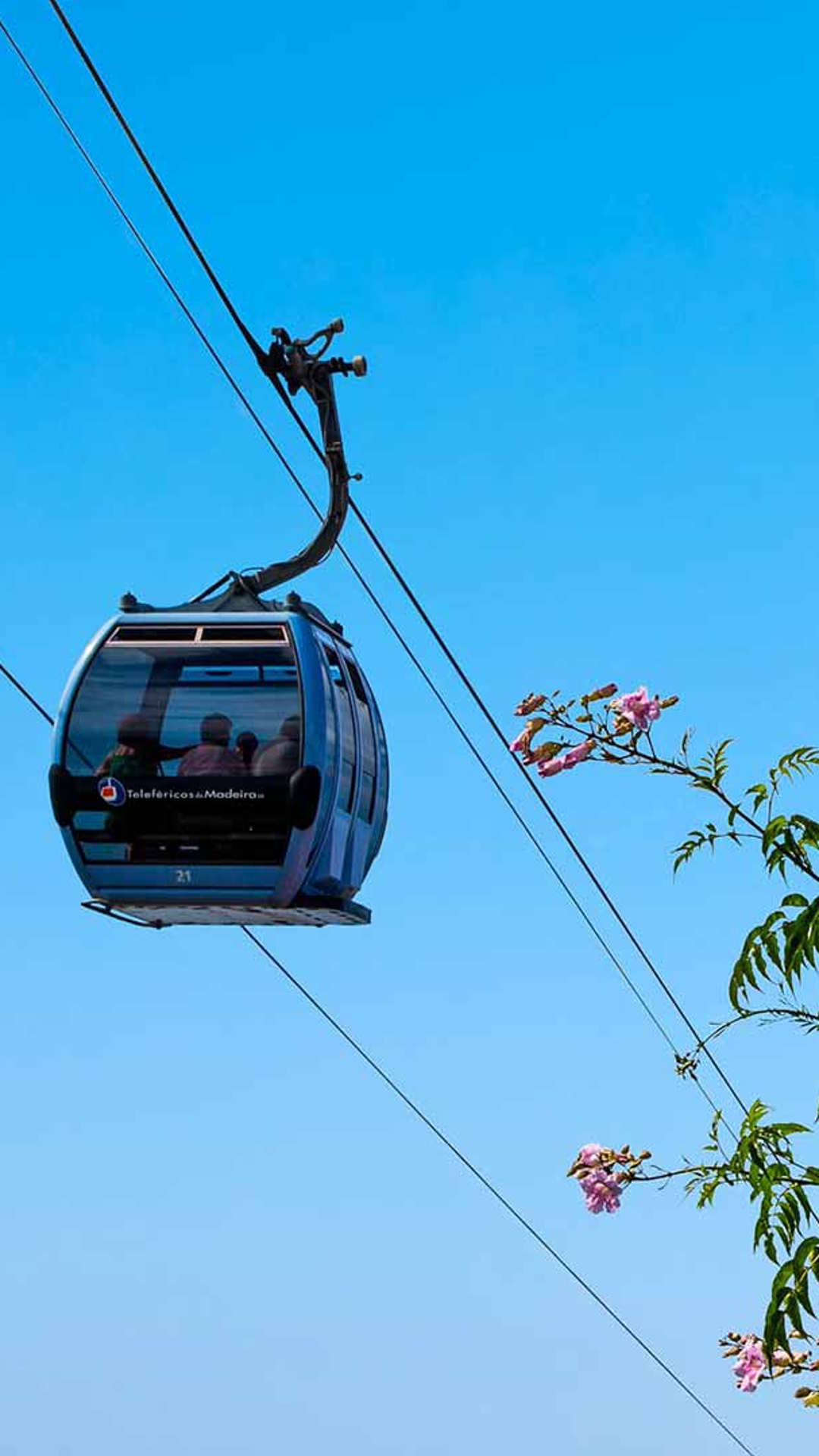 teleférico da madeira 1