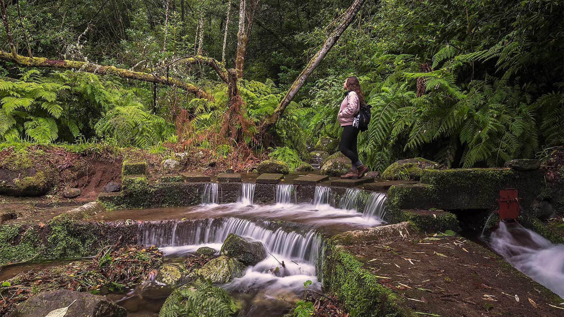 levada do rei 8