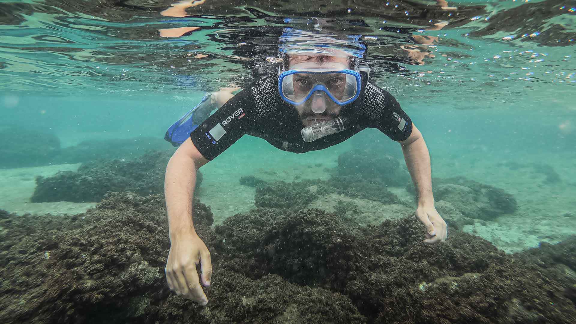 snorkeling madeira 1