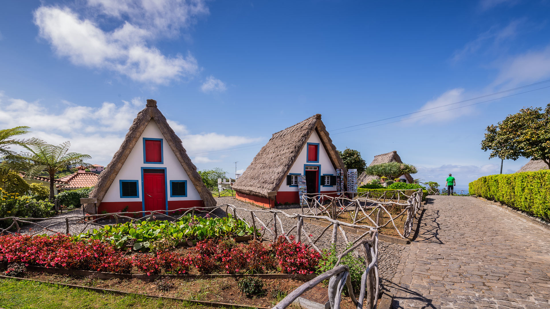 Casas triangulares rodeadas de jardín verde en Madeira.