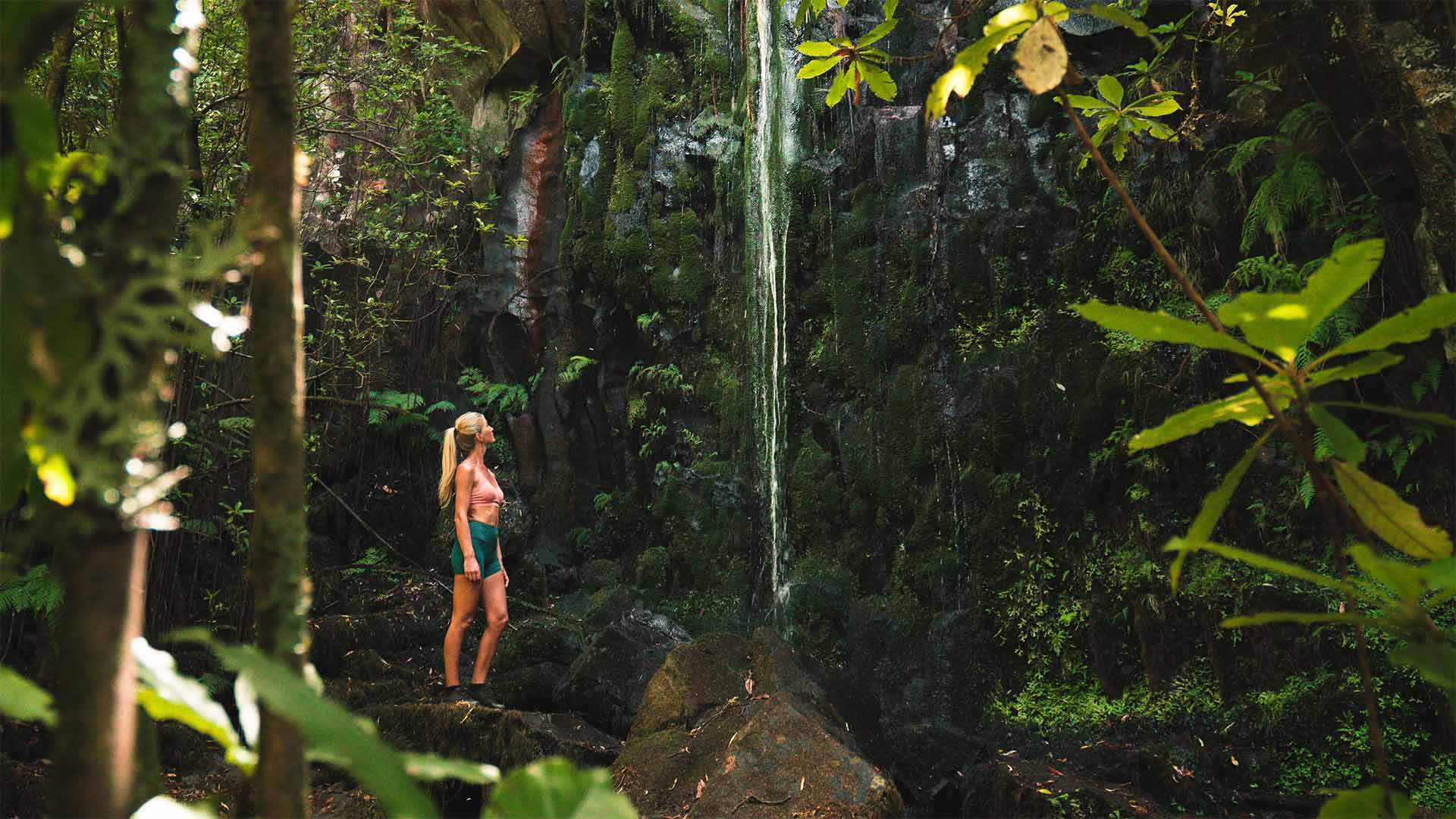 levada dos cedros 1