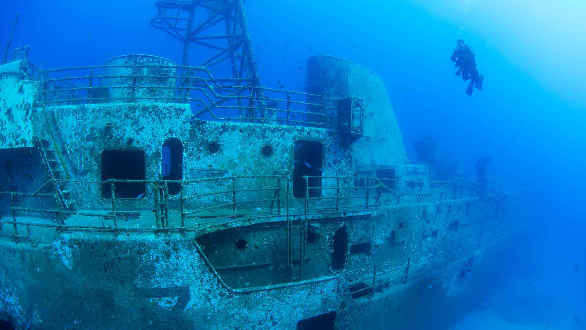 tauchen auf in Porto Santo 6