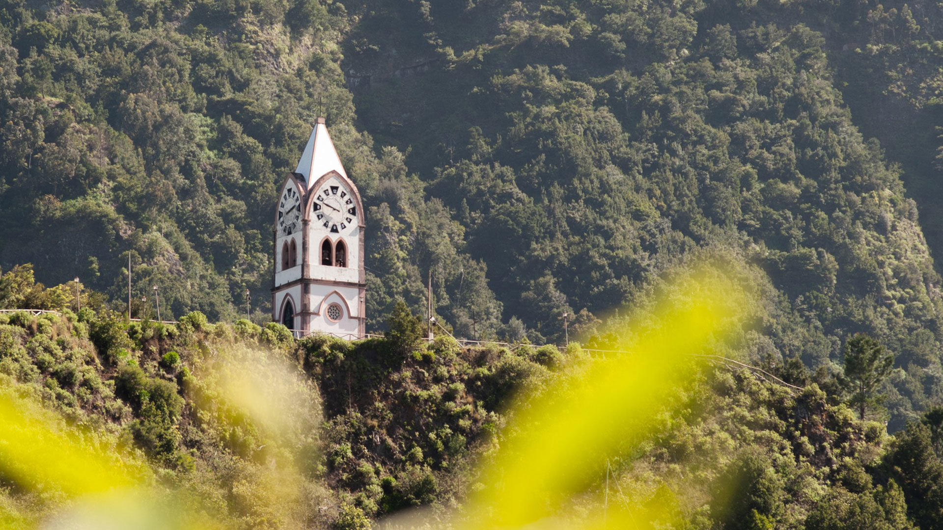 Église au cœur d’une forêt verdoyante.