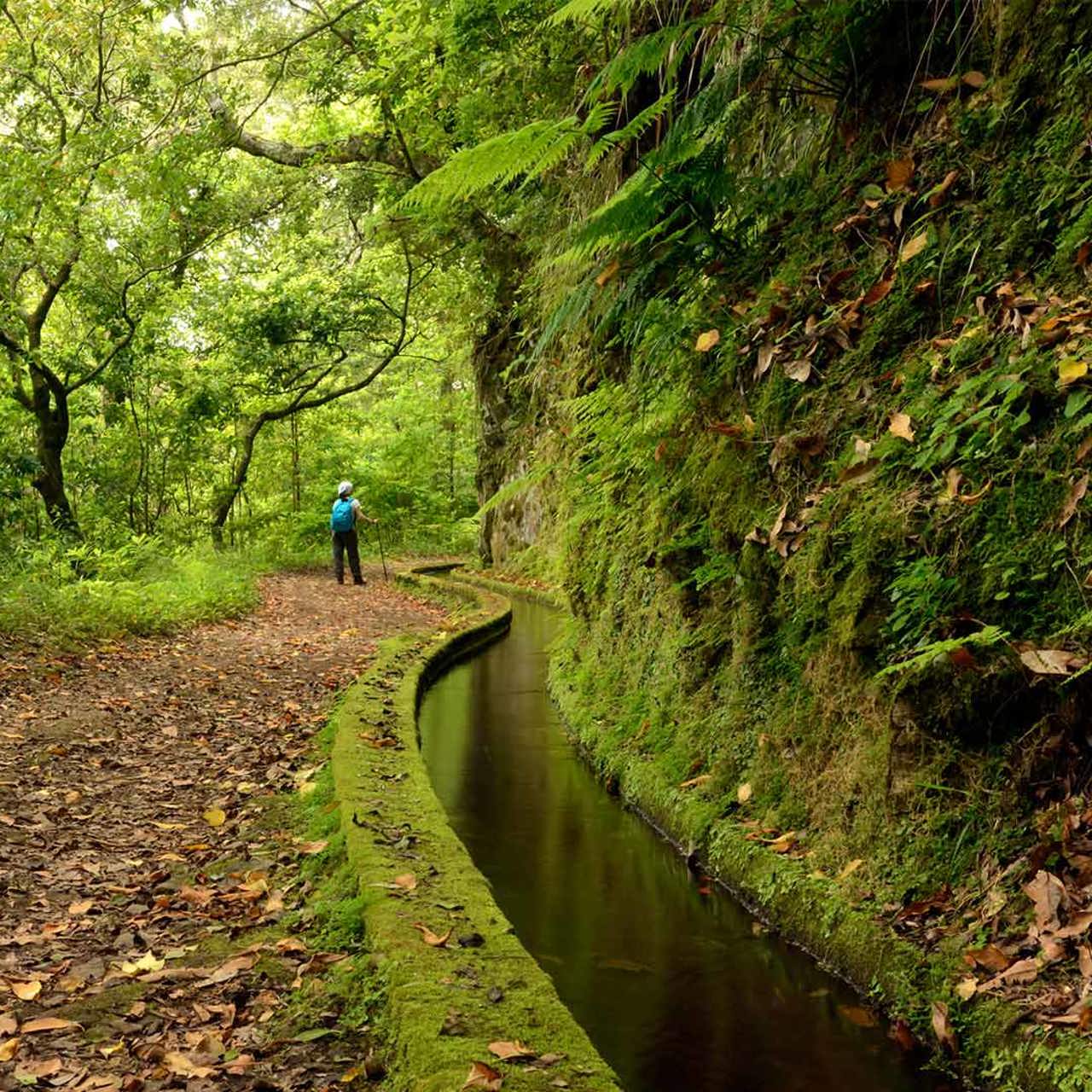 levada do rei 2