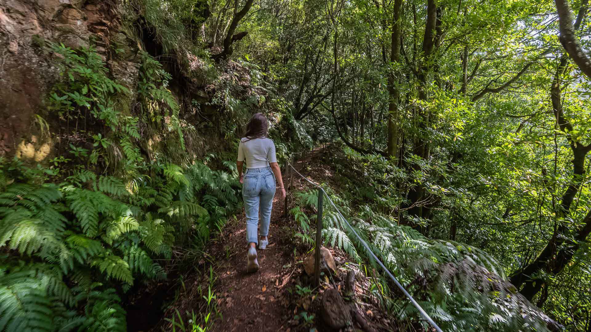  levada do moinho 2