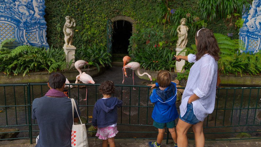 Madeira