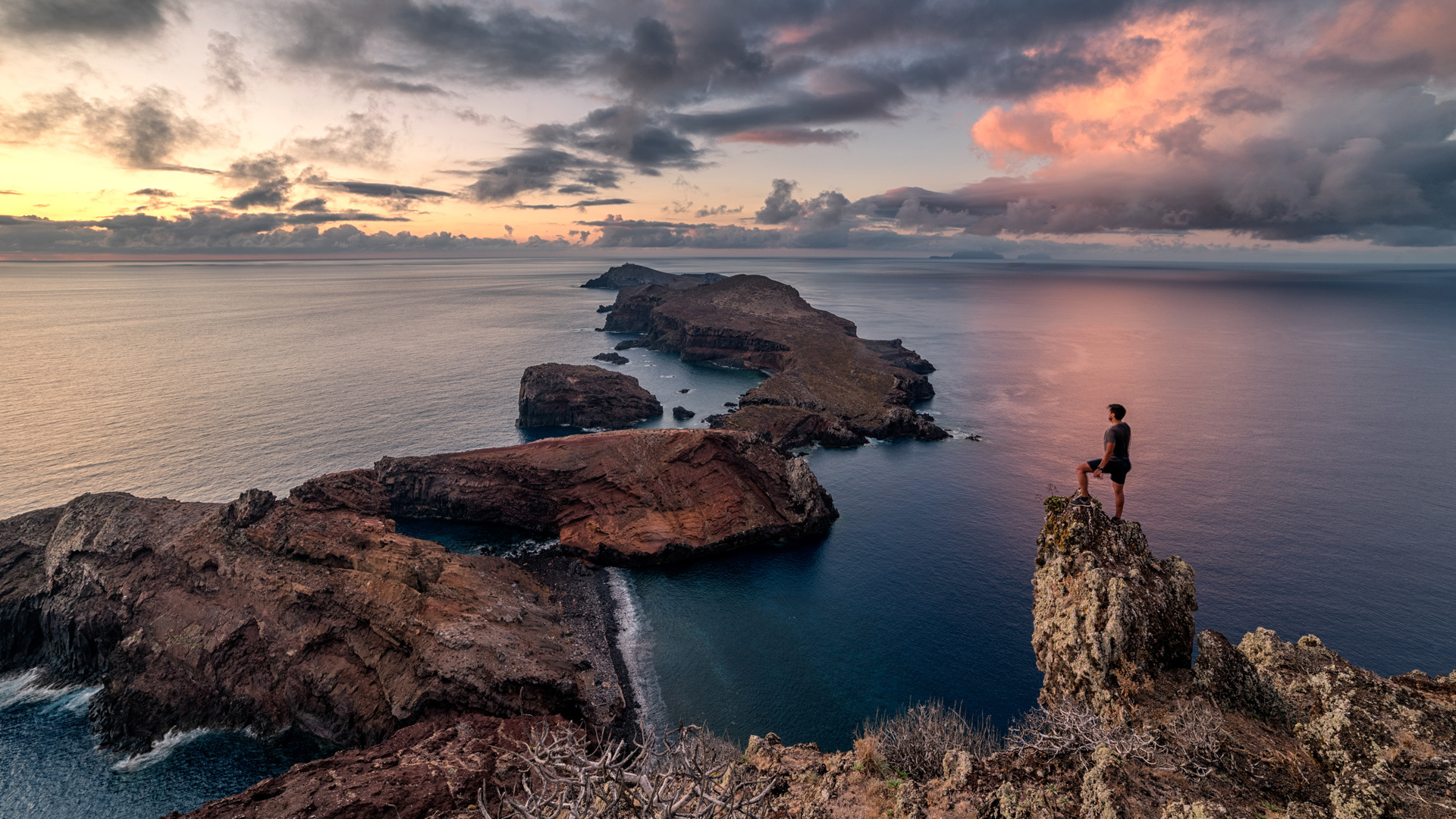 ponta de são lourenço madeira 41