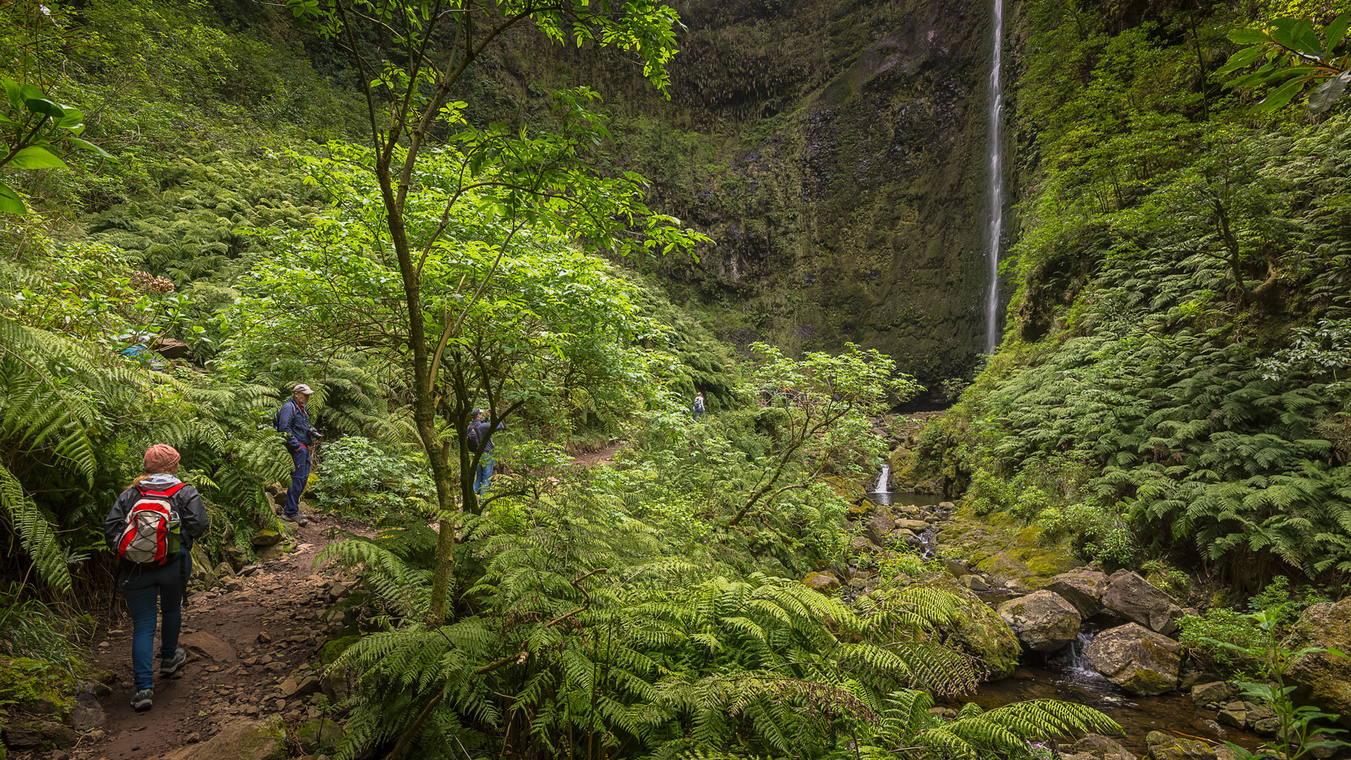 levada do caldeirão verde 10