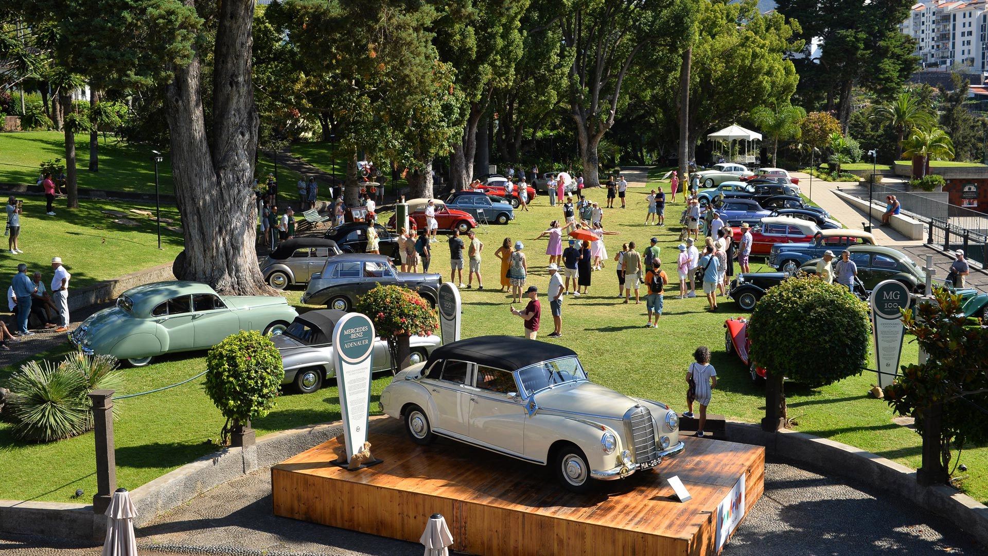 Voitures classiques de différentes couleurs exposées lors de l’événement Classiques à Magnolia.