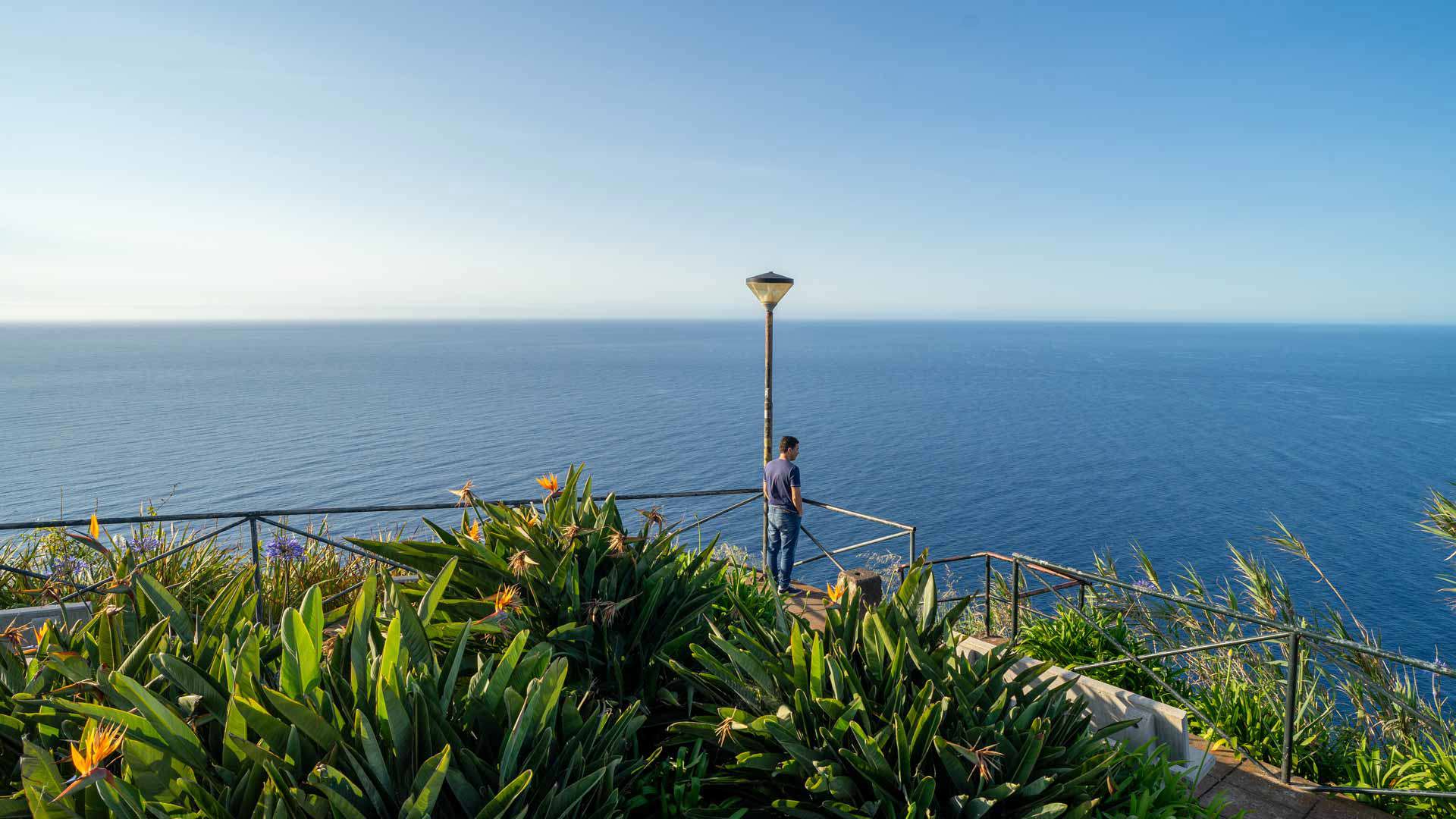 Plantas com flores num miradouro com vista para o mar.