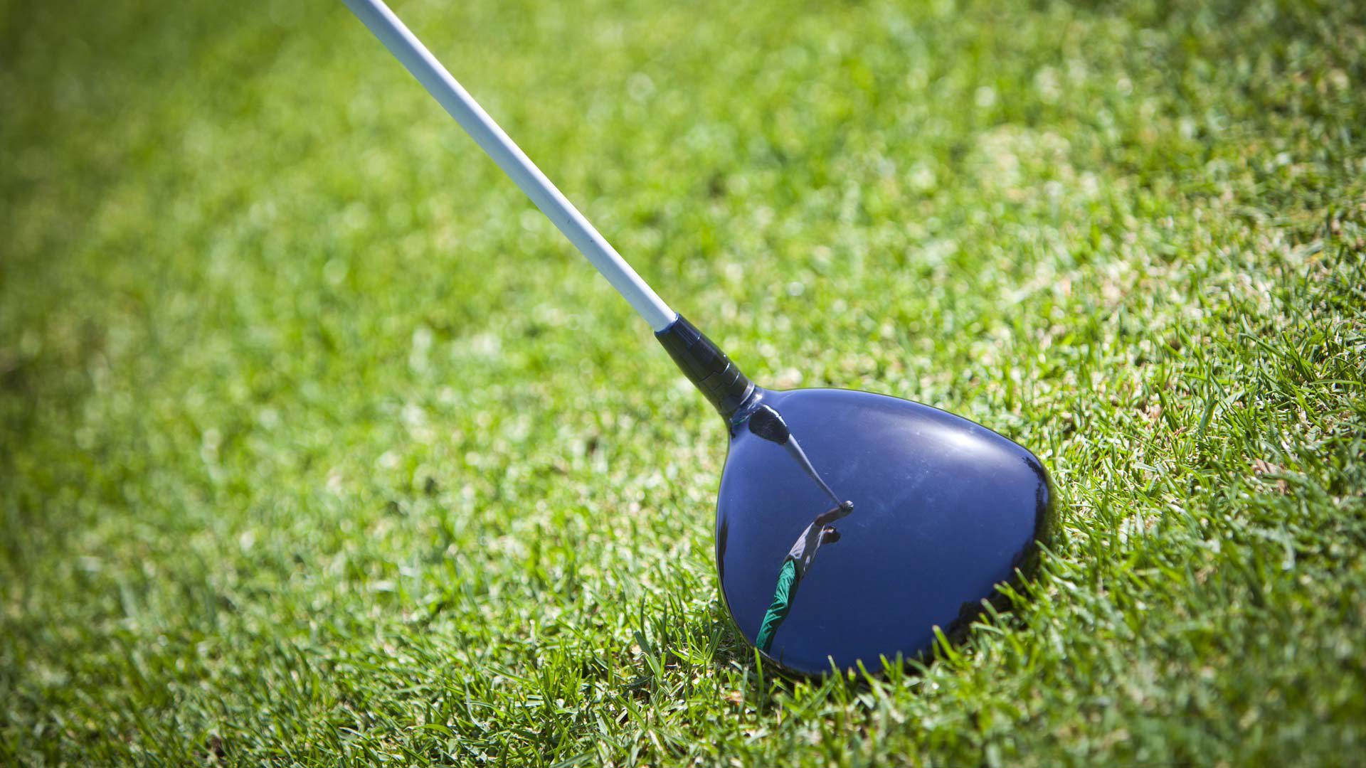 Golf club resting on green grass.