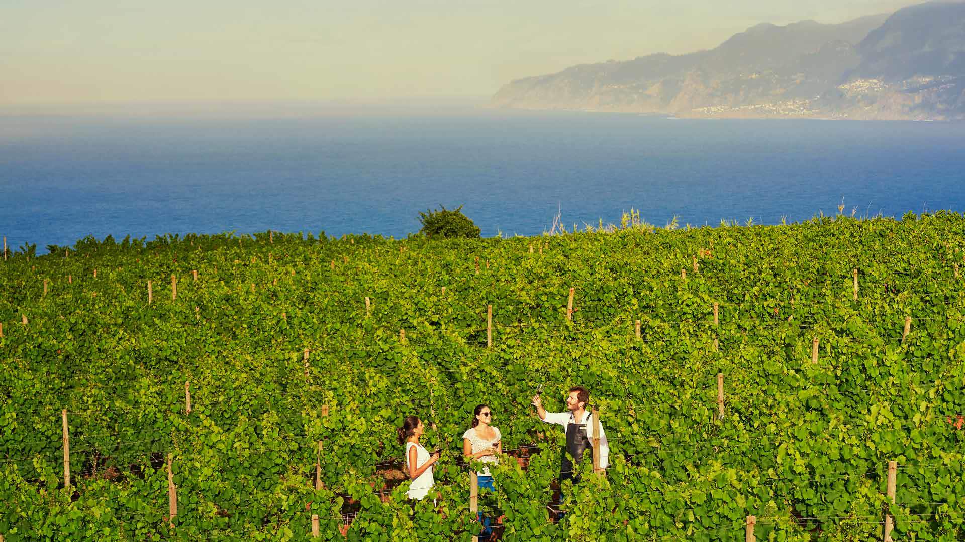 Trois personnes près des vignobles sur la côte de l'île de Madère.