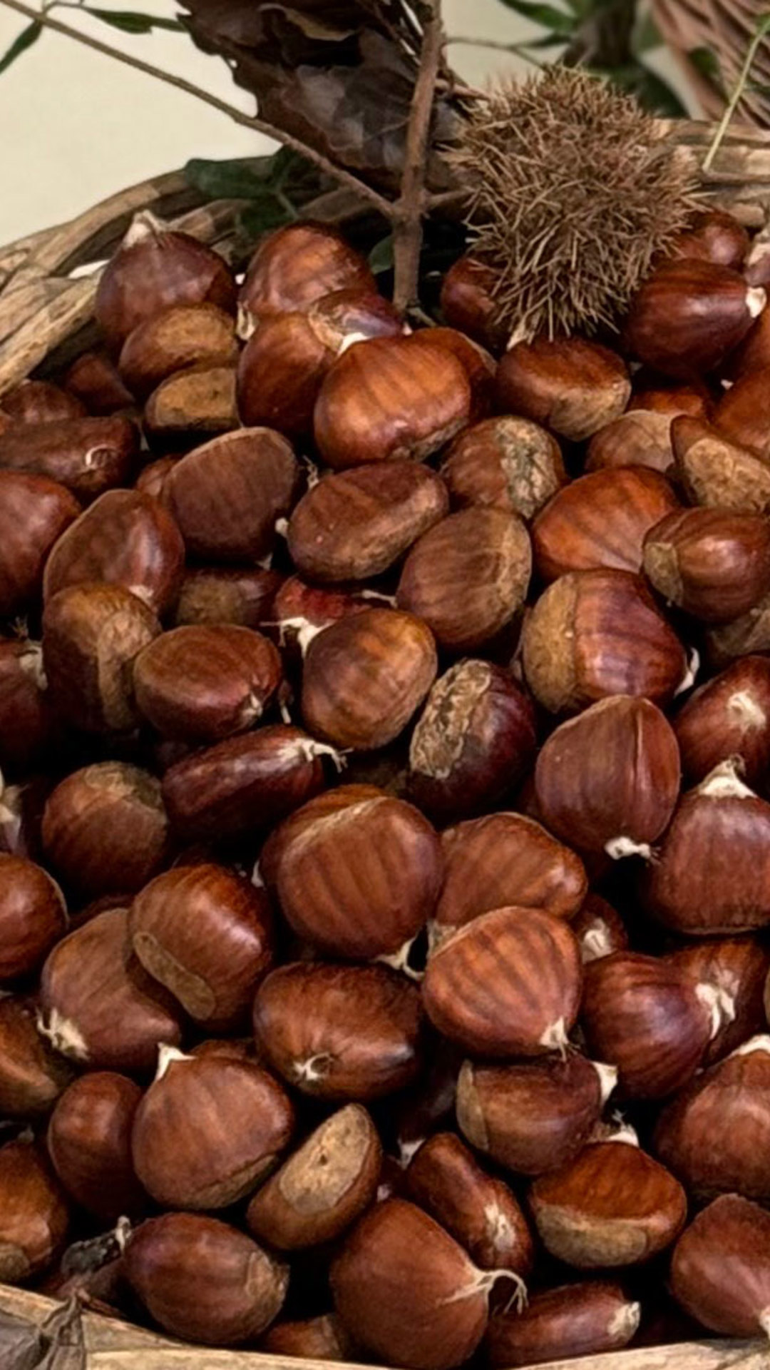 Castanhas frescas num cesto de vimes.