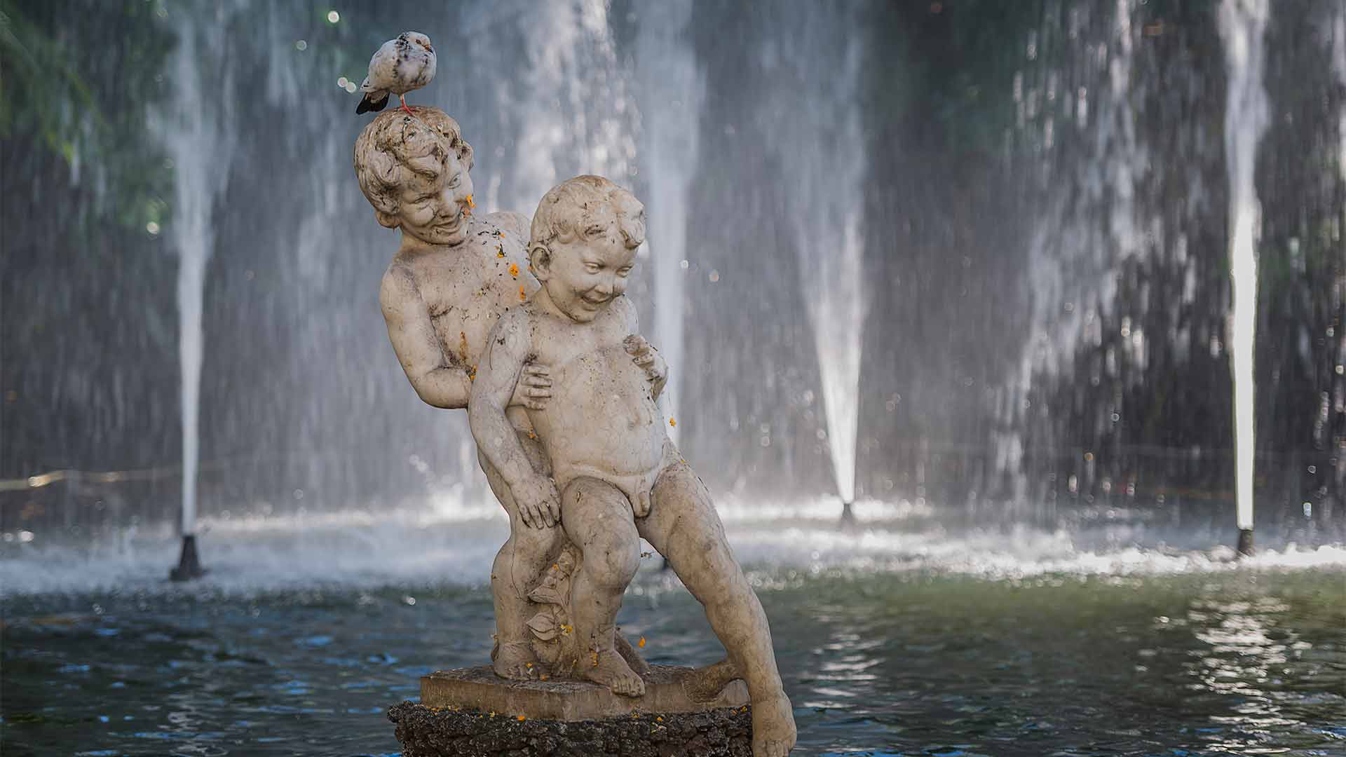 jardim municipal do funchal 6