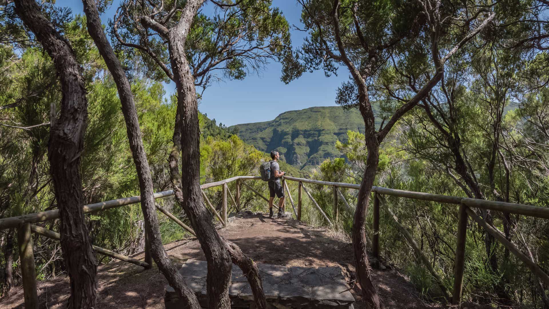 Mann an einem Aussichtspunkt, der Bäume und Berg betrachtet.