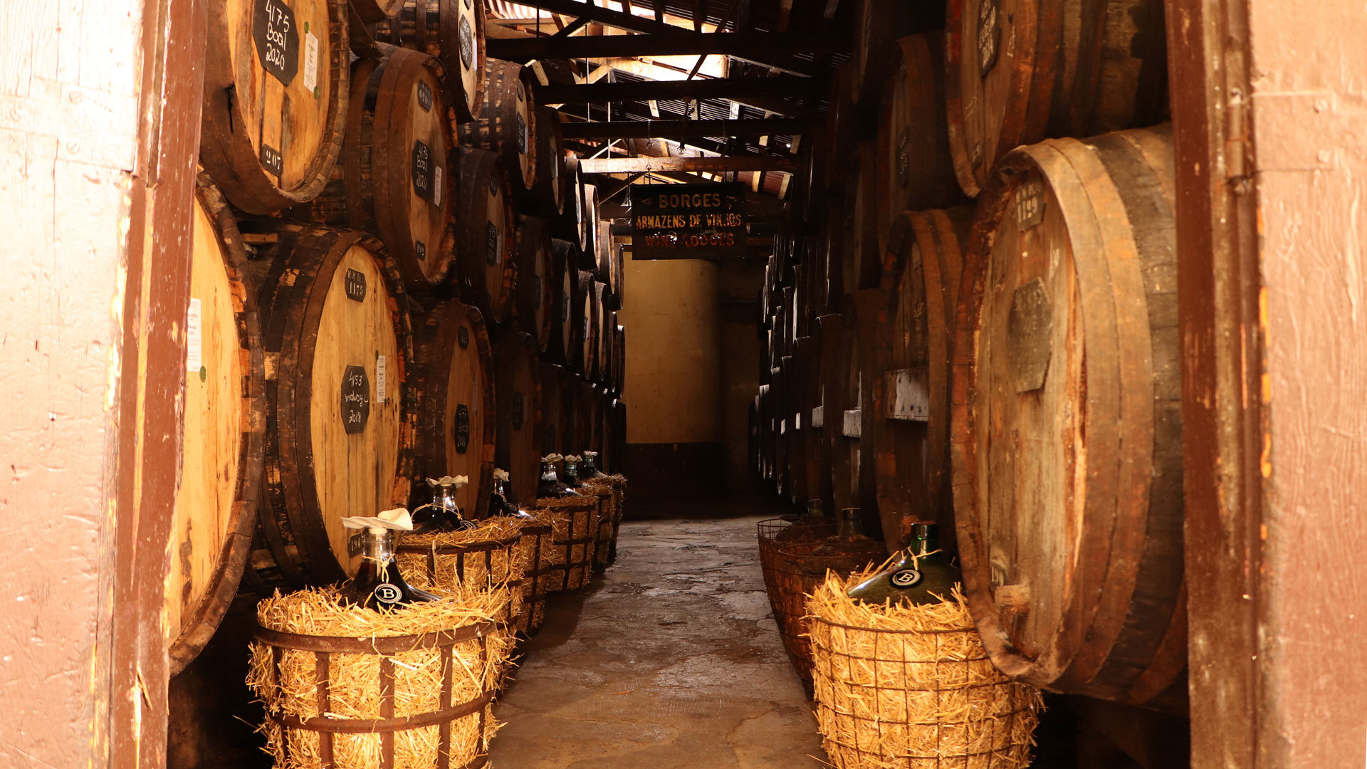 H M Borges madeira 5