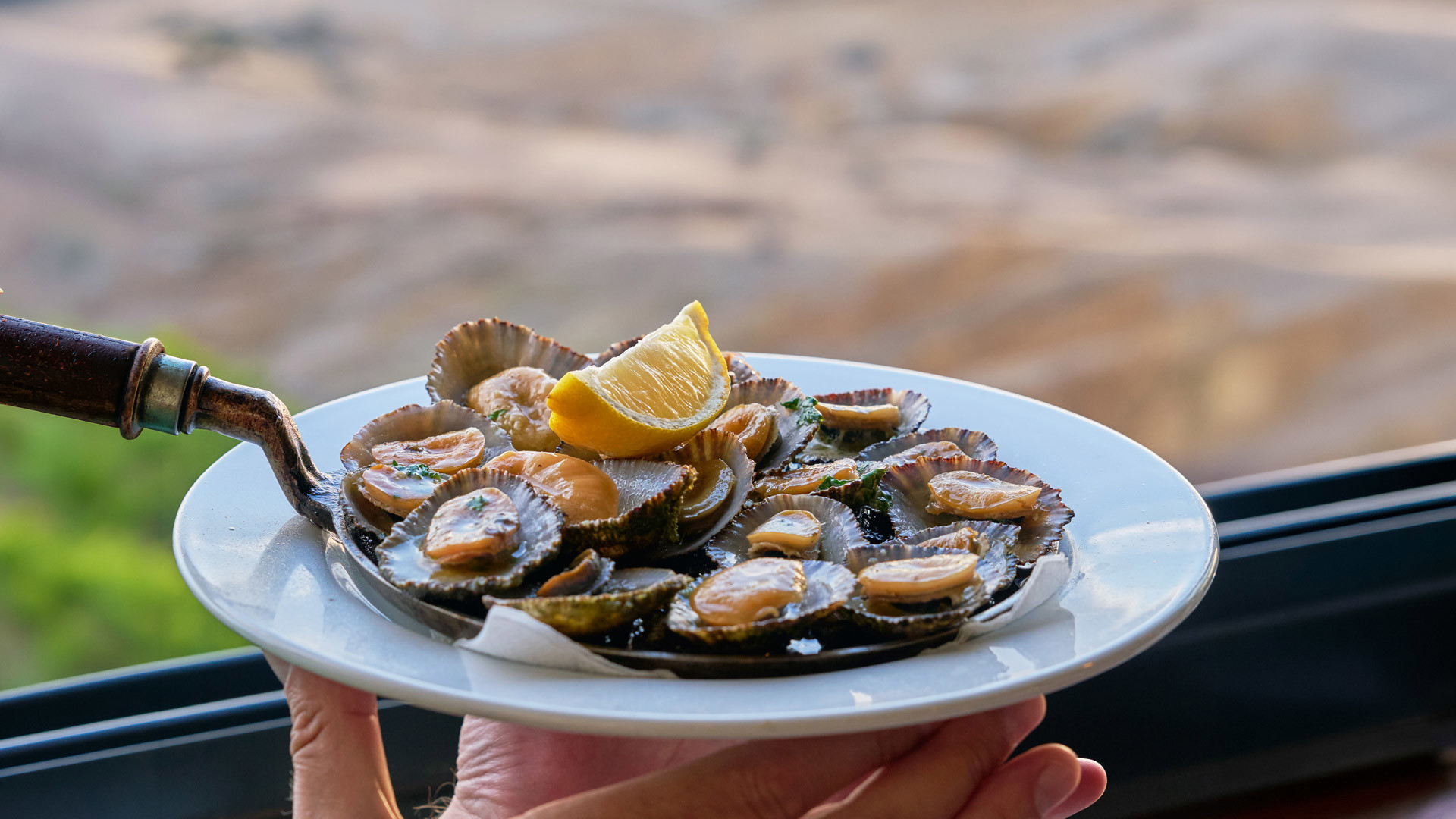 Main tenant une portion de patelles de l’île de Madère.