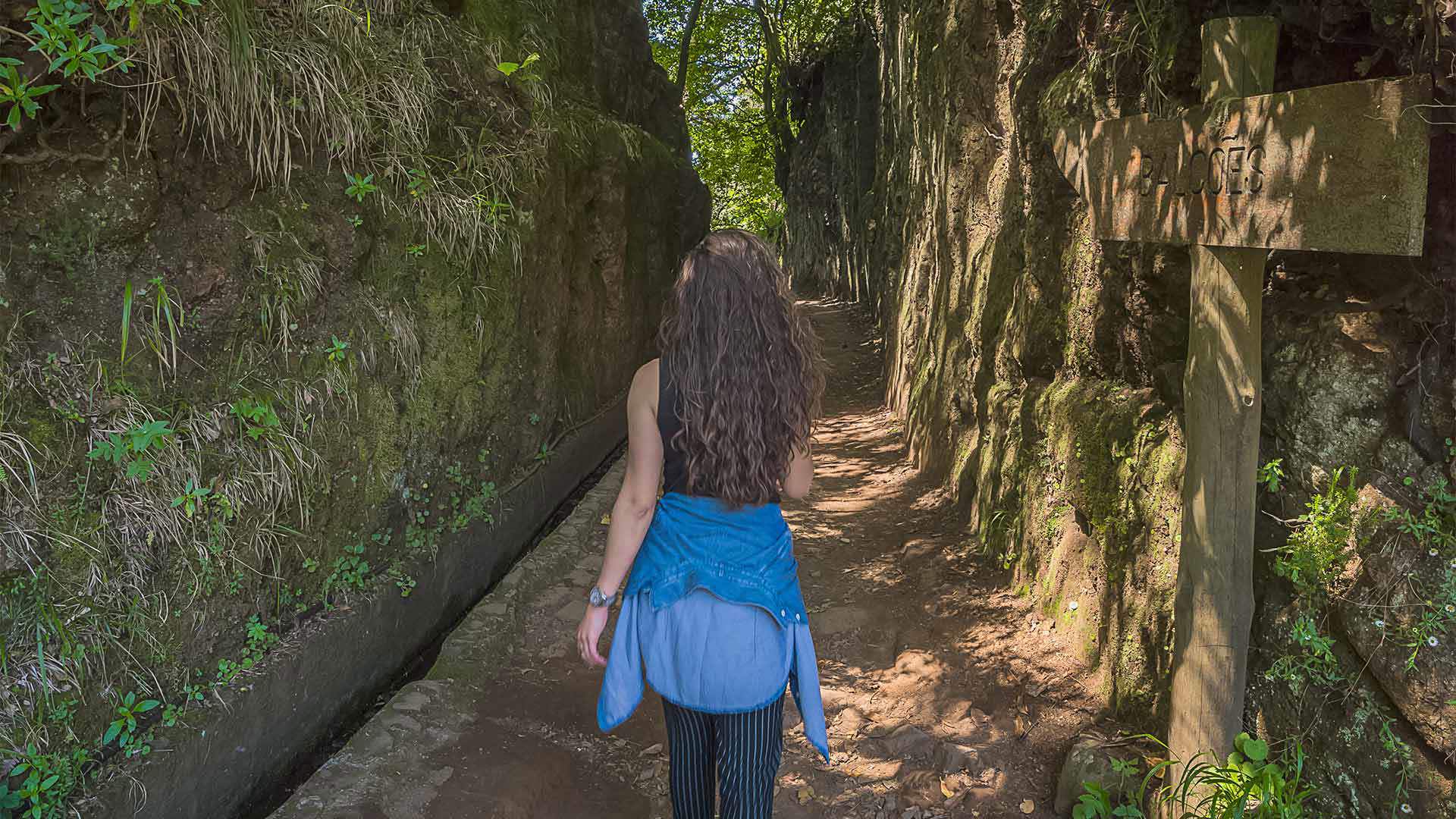 PR 11 - Vereda dos Balcões - Visit Madeira | Site oficial do Turismo da ...