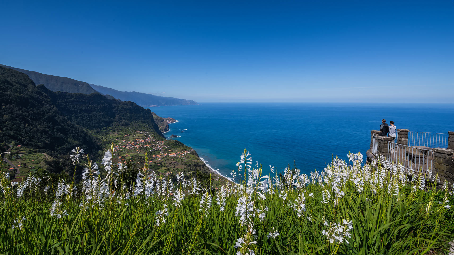 Jardín de flores blancas cerca del mirador con vistas al valle y al mar en Madeira.