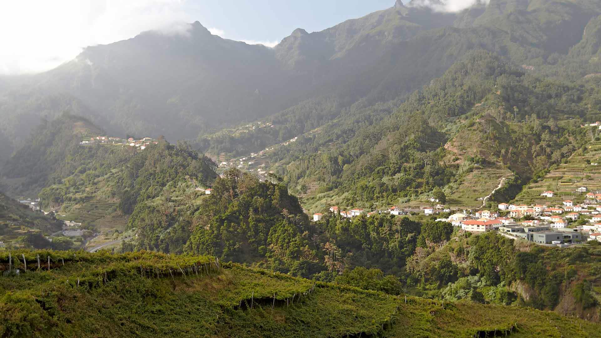 Bergblick inmitten der Natur auf der Insel Madeira.