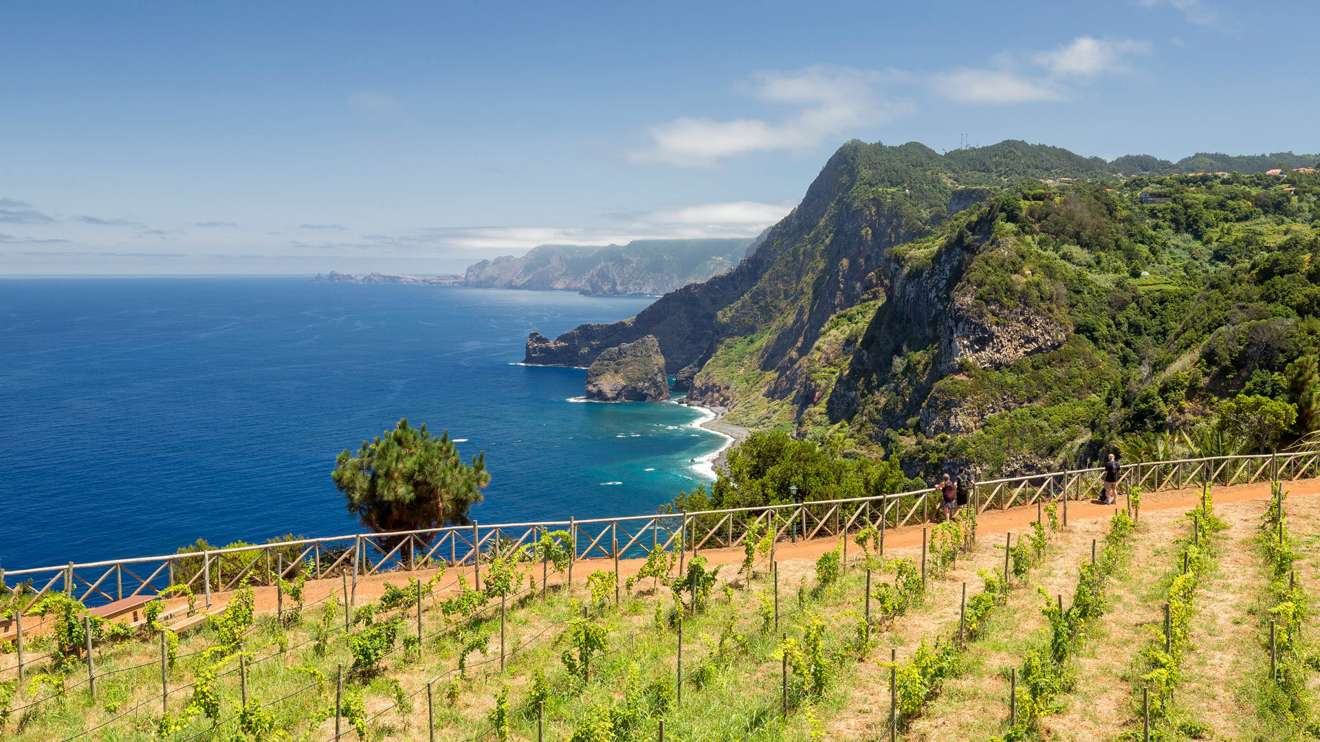 Terrenos cultivados com montanhas e mar na Madeira.