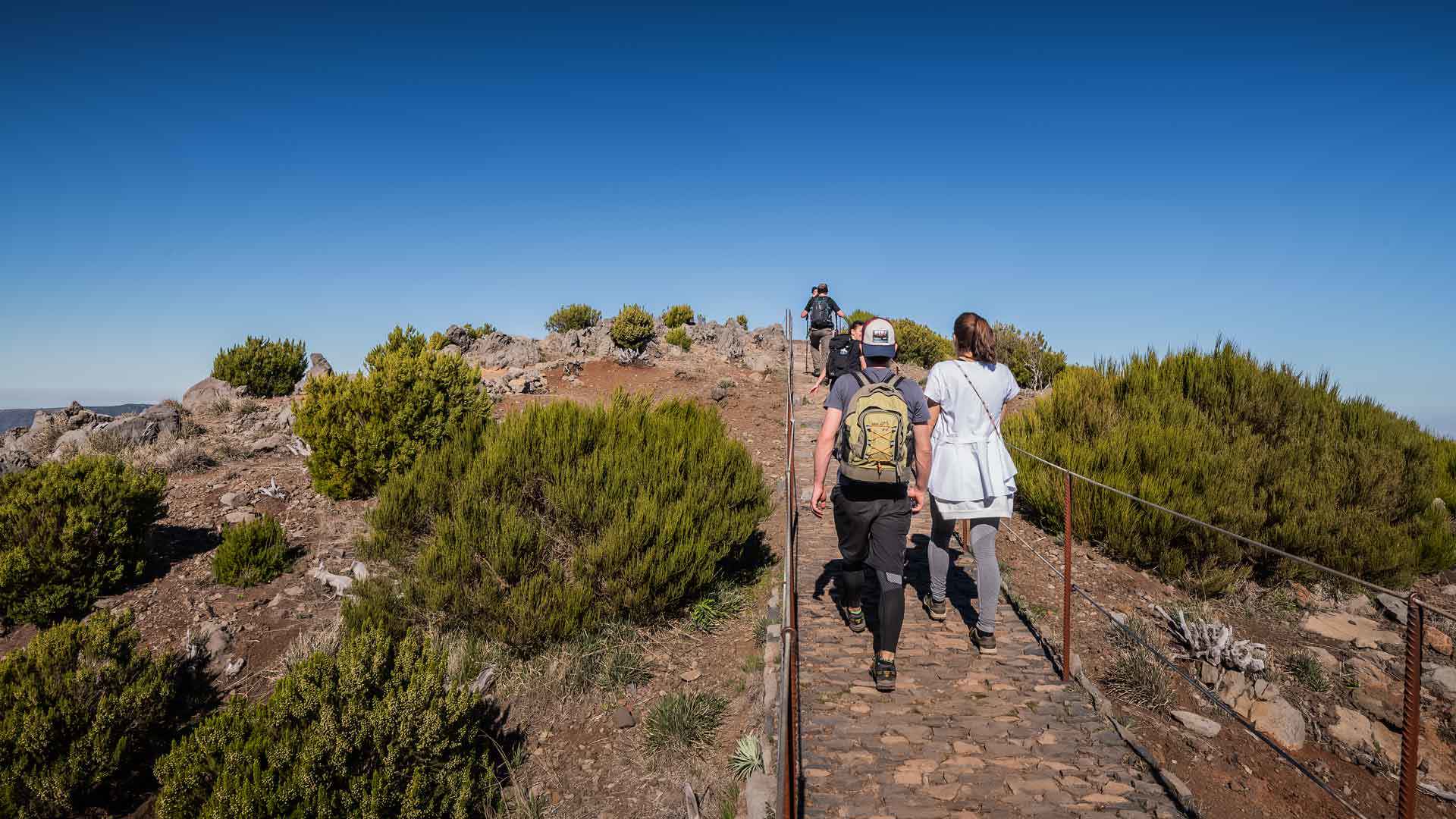 People walking on a trail amid nature in Madeira.