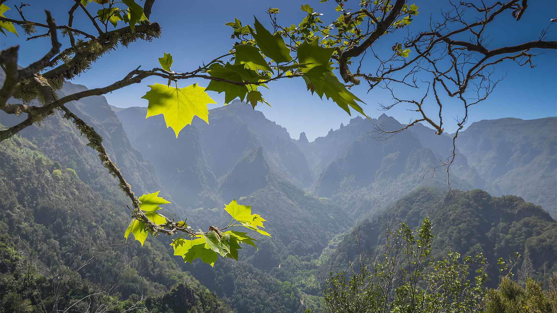 vereda dos balcões 2