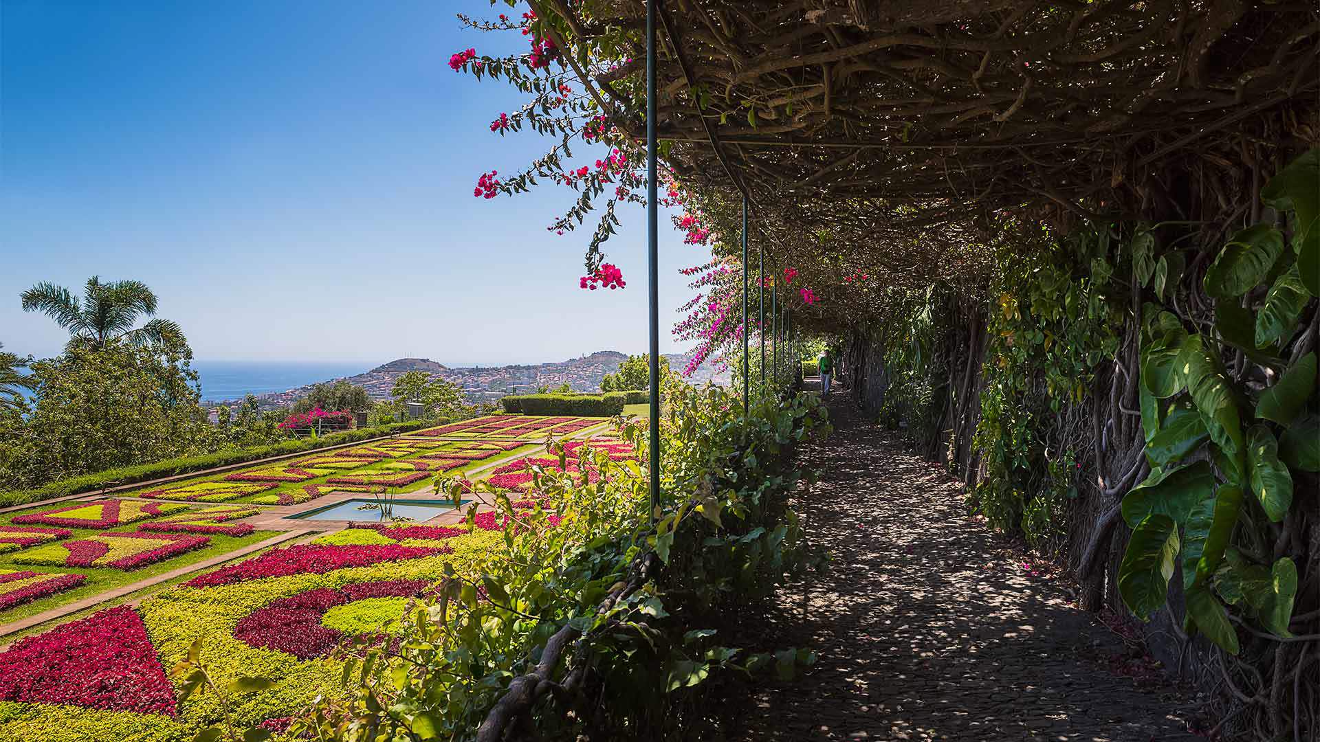 Passeio no Jardim Botânico com vista para o Funchal e flores coloridas, na Ilha da Madeira.