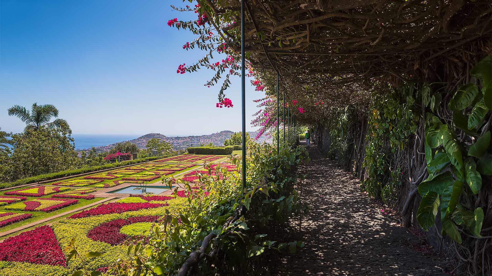 botanische gärten funchal 5