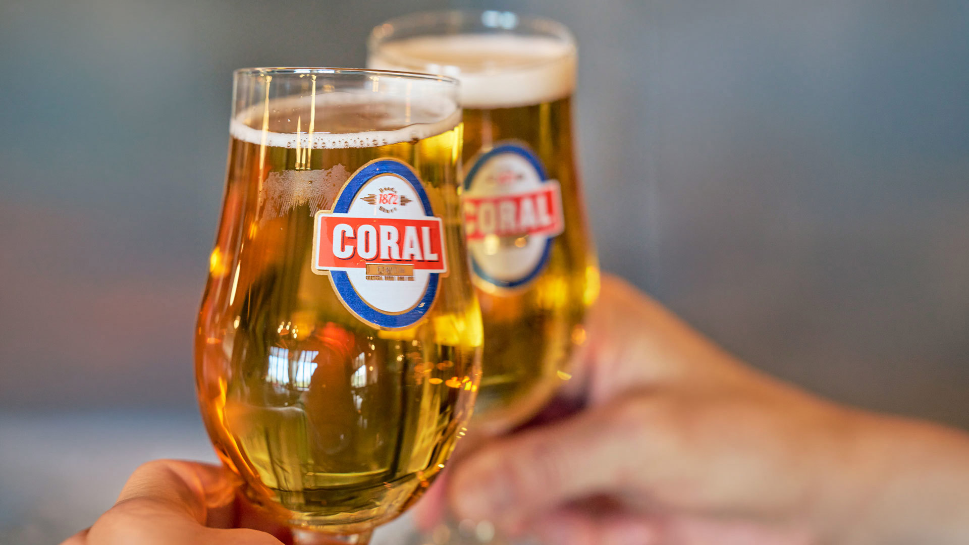 Toast with beer glasses, hands raised on Madeira Island.