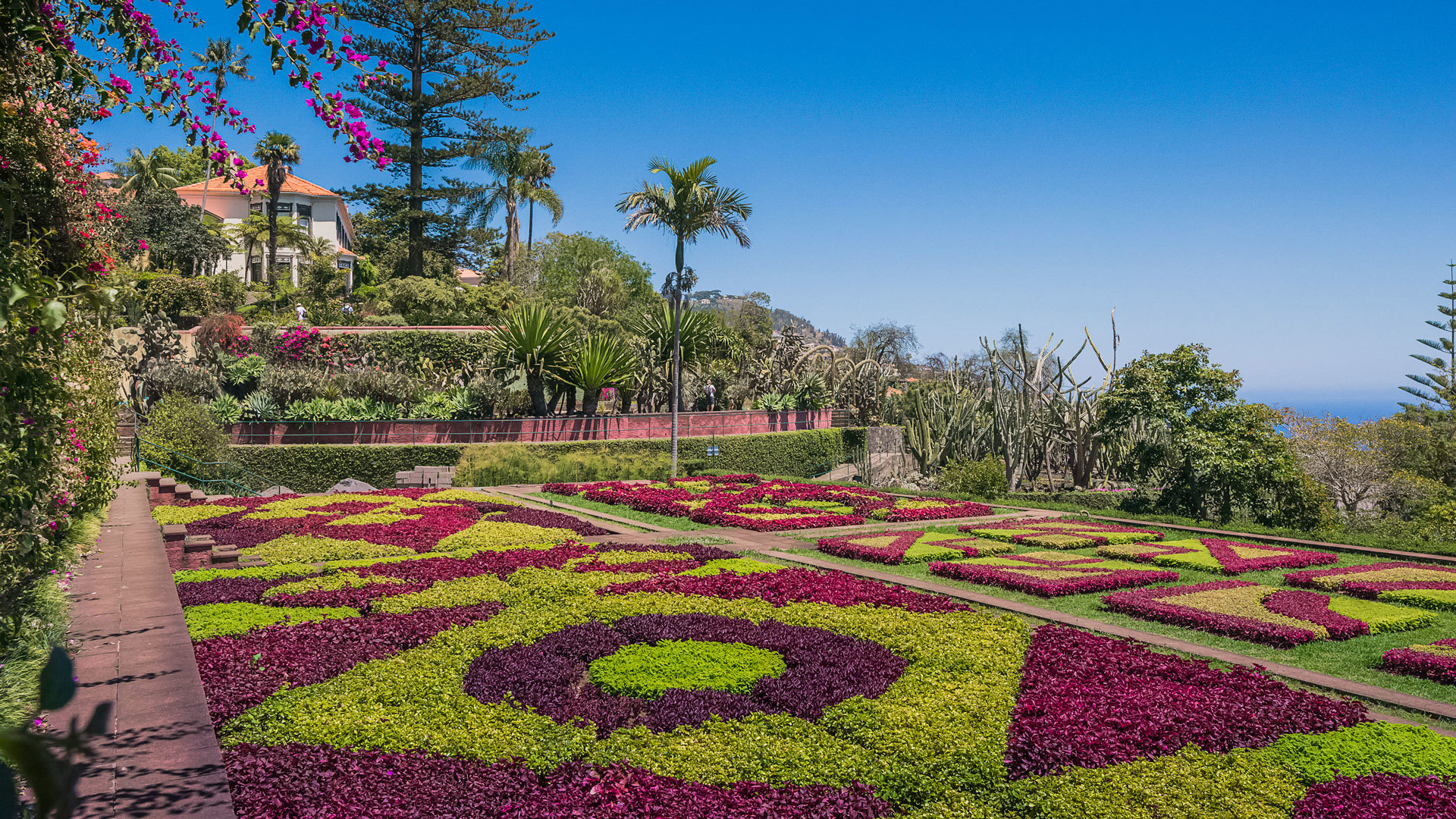 Flores de colores con un edificio al fondo en el Jardín Botánico, en la isla de Madeira.