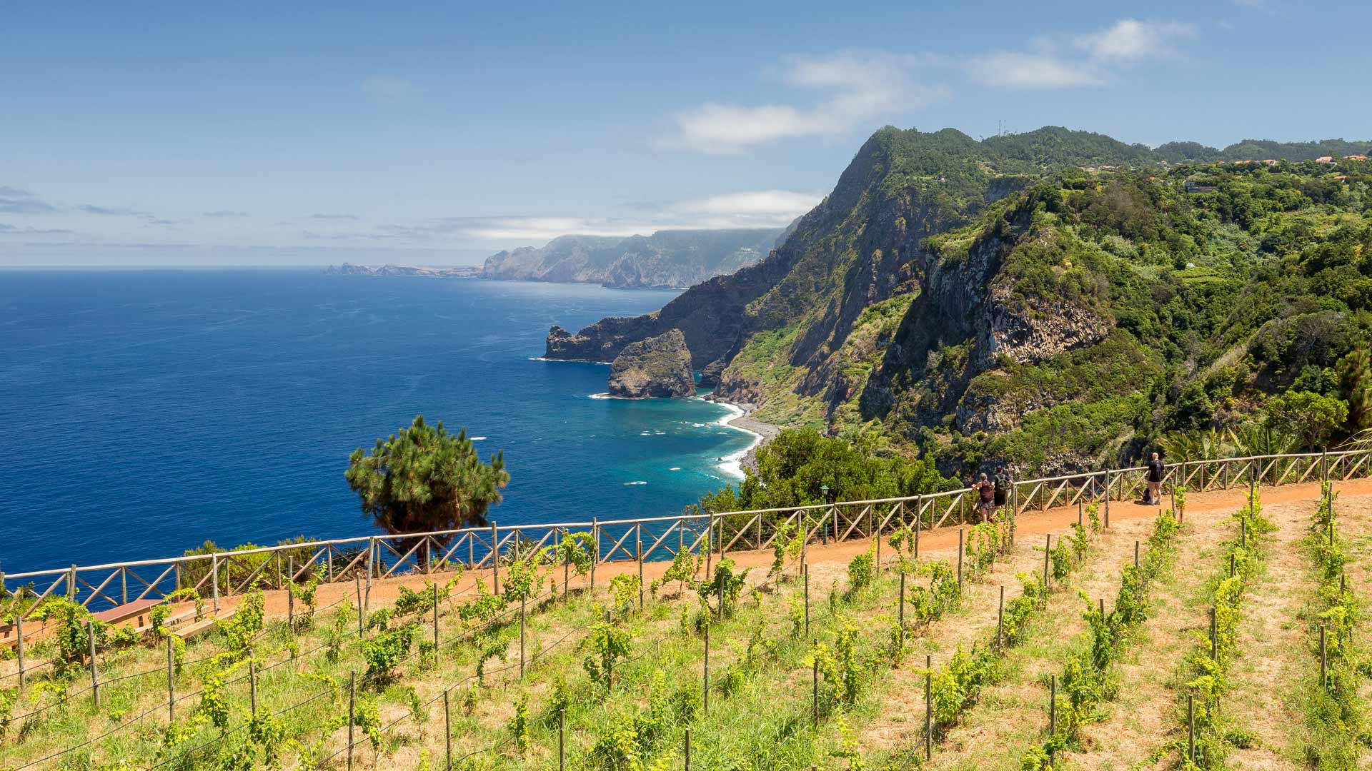 miradouro da quinta do furão 3