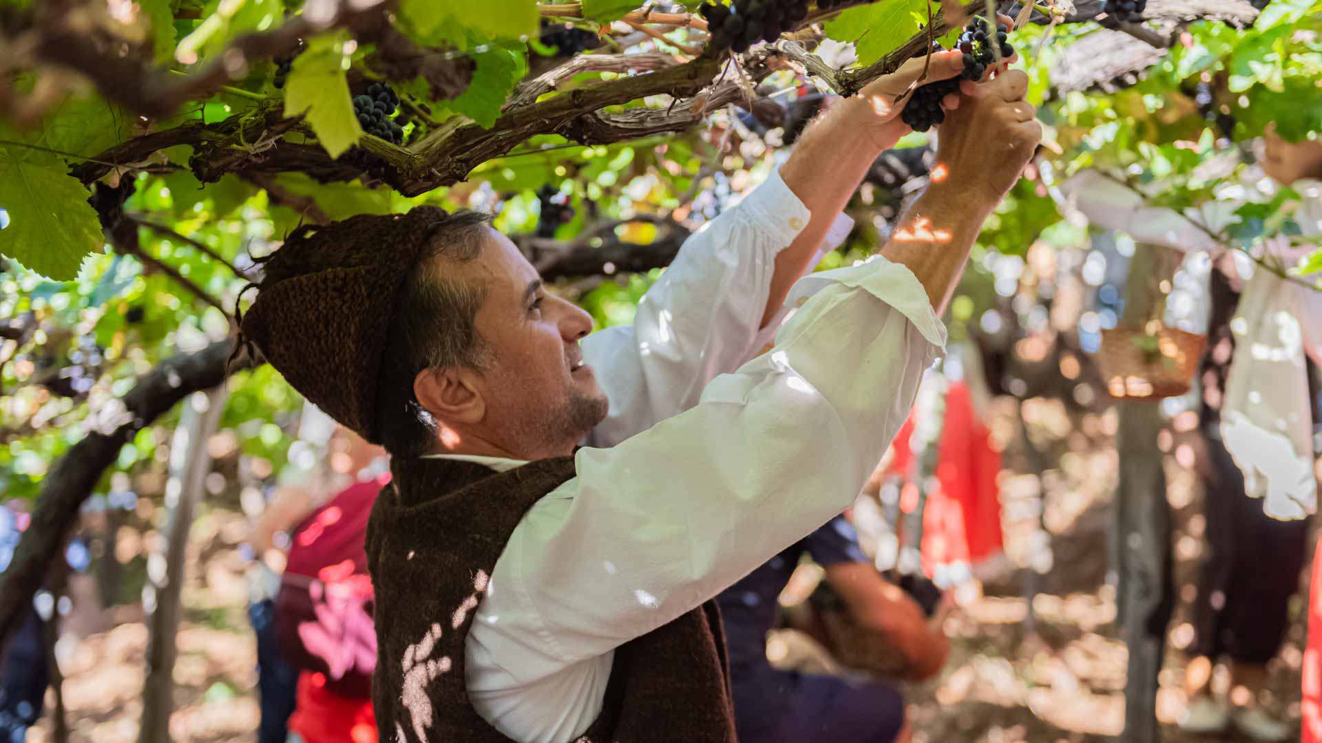 festival du vin de madère 16