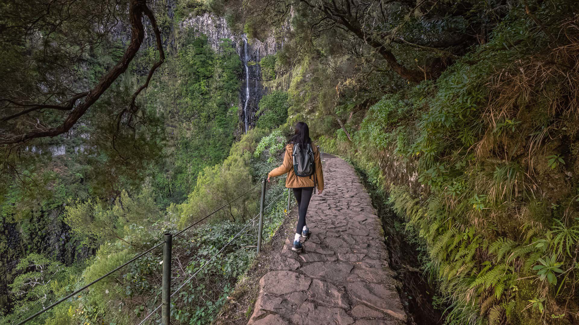 Festival de la Naturaleza en Madeira 32