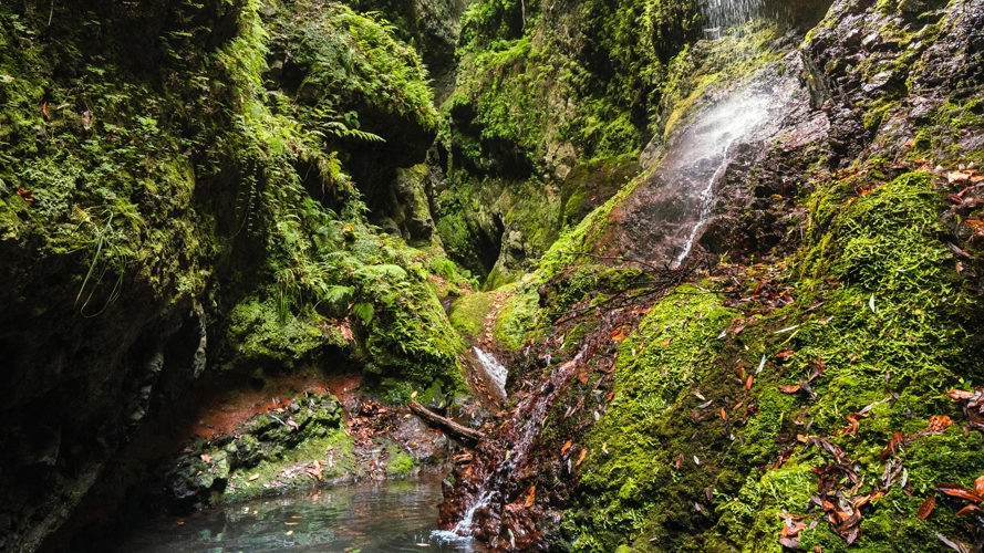 Canyoning Madeira