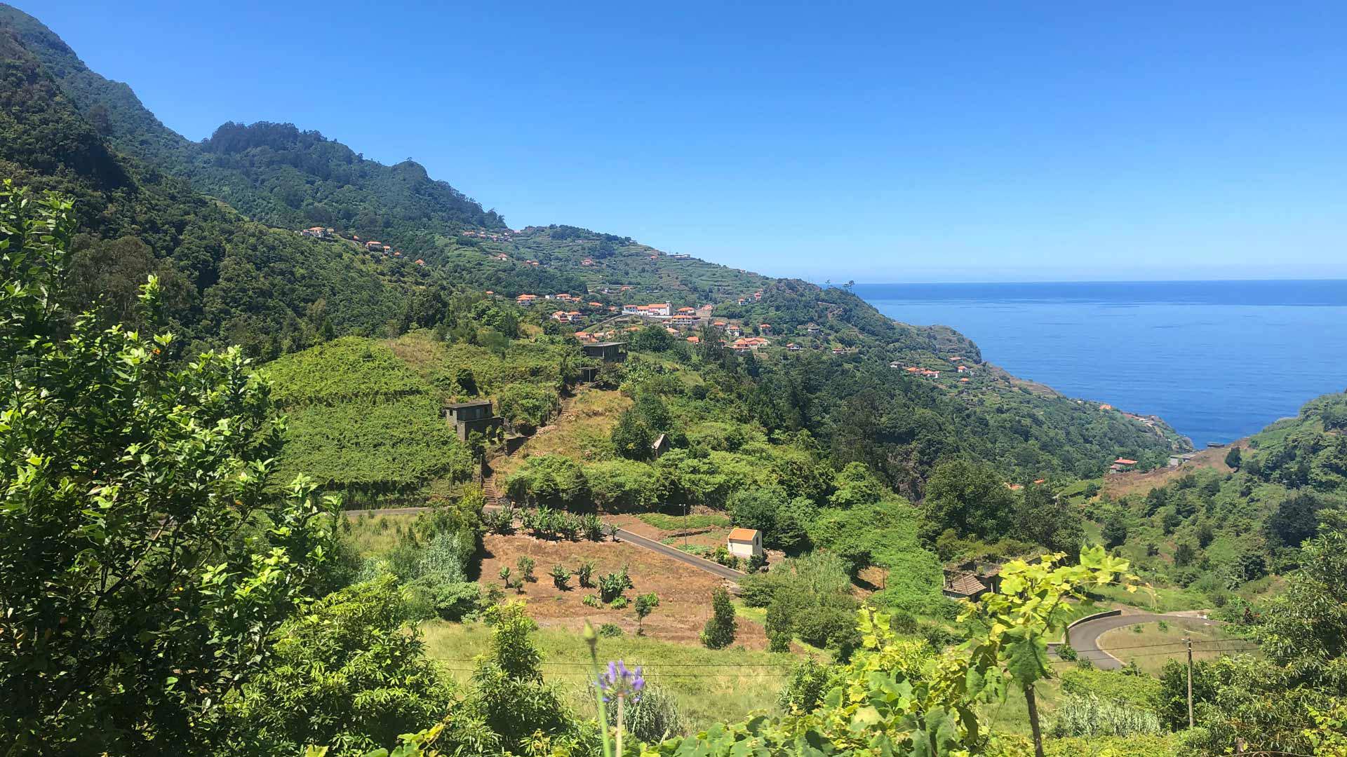 Green fields with sea view in Madeira.