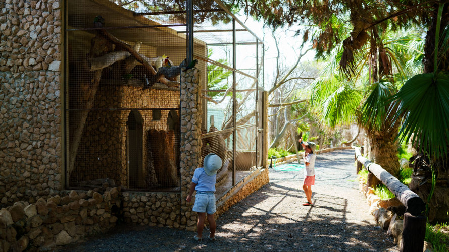 Férias em família no Porto Santo