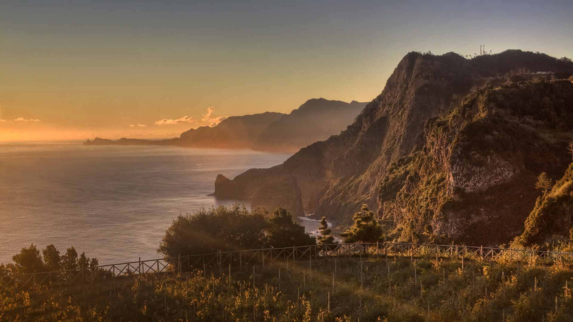 Vineyards on mountain with sunset in the background in Madeira’s landscape.
