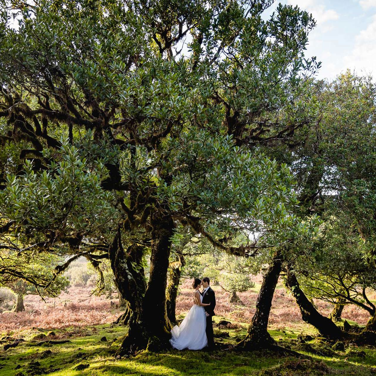 Casal em trajes de casamento numa floresta.