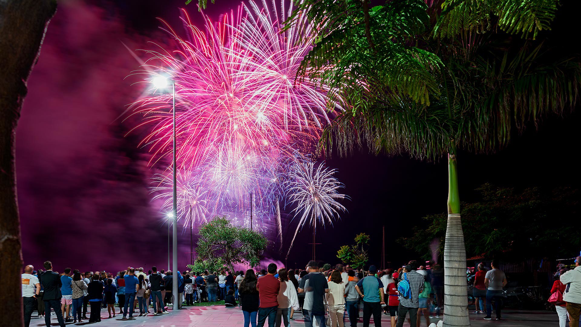 Carnival - Visit Madeira | Madeira Islands Tourism Board official website