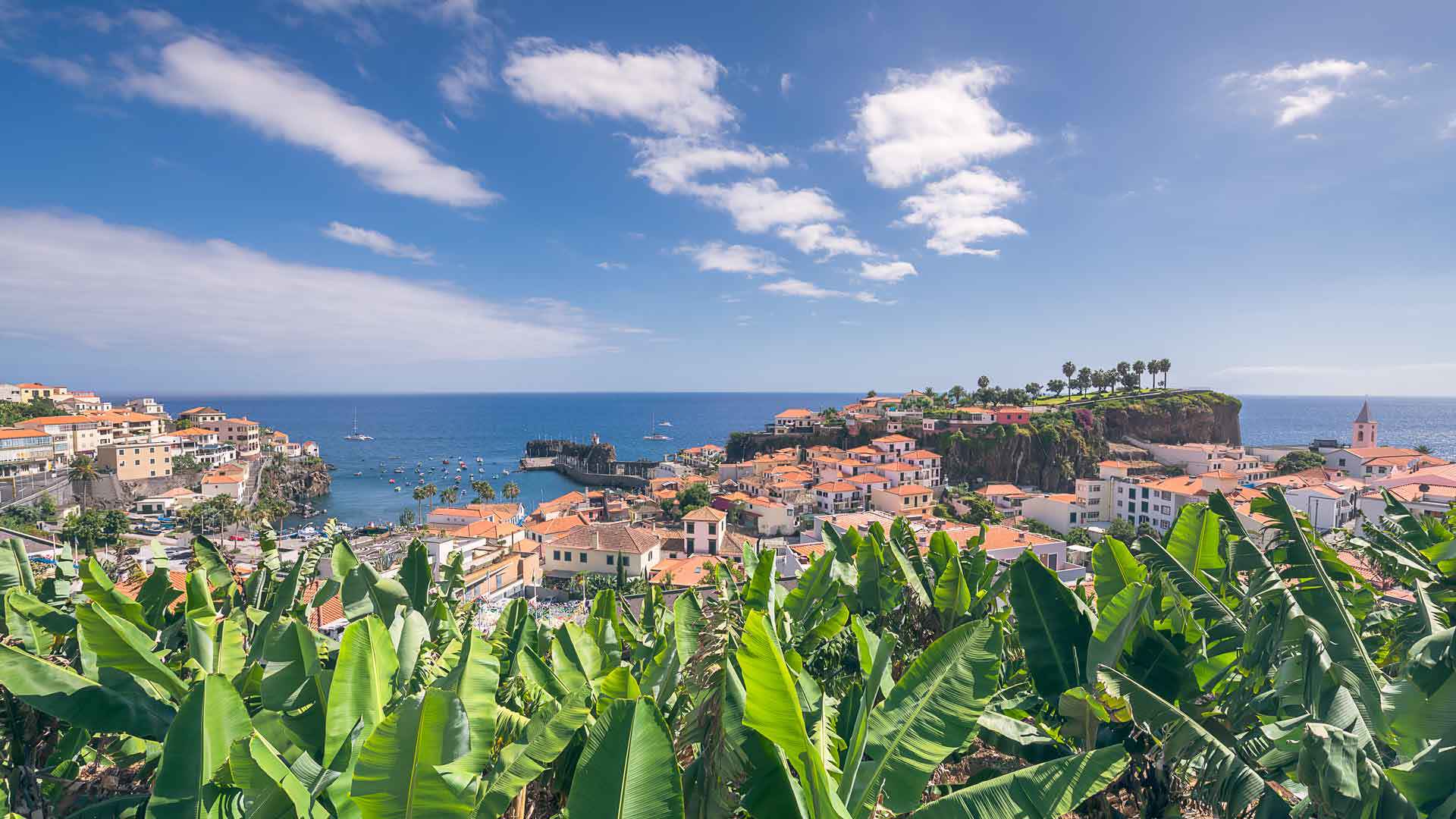 câmara de lobos bay 8