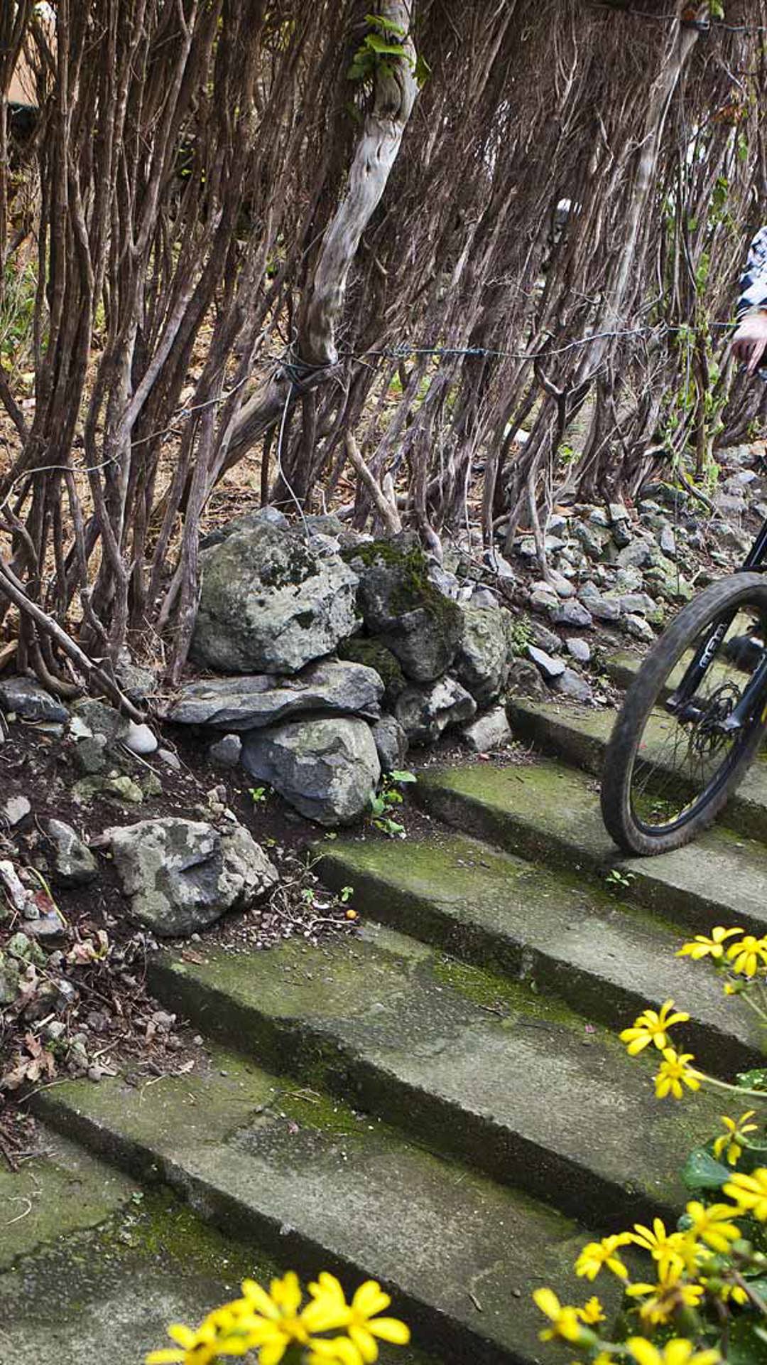 atividades desportivas na madeira 25