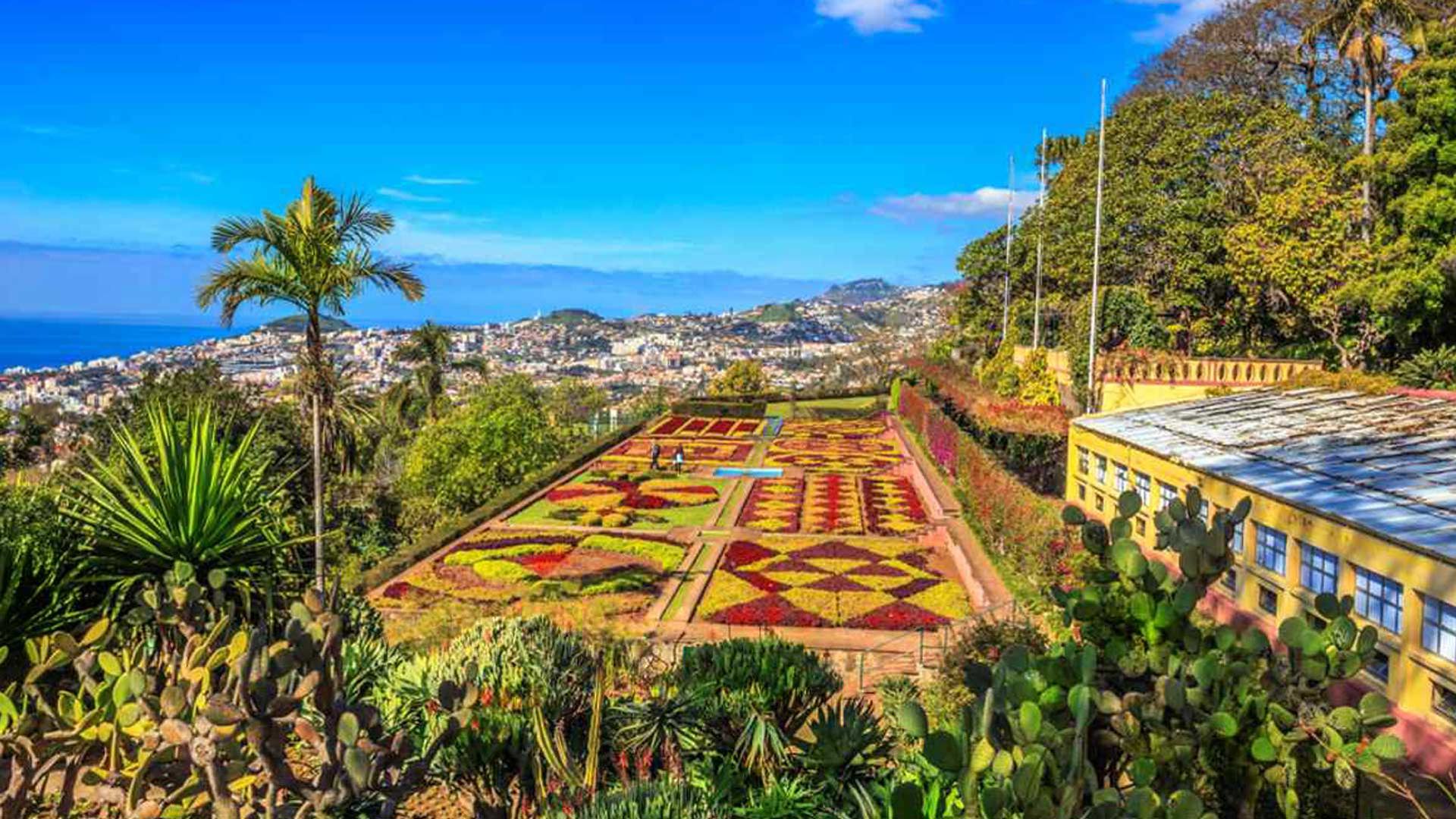 Jardim Botânico da Madeira com flores coloridas.