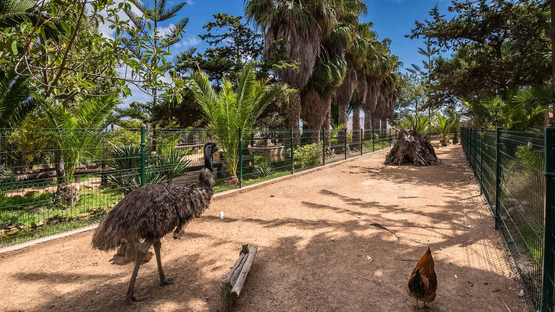 quinta das palmeiras 6